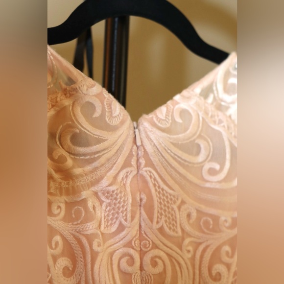 EUC REISS Roxanda Capped Sleeve Light Pink Lace Sheath Dress Size 10 - Picture 6 of 7